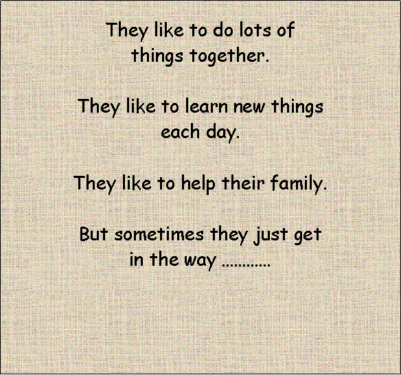 Text Box: They like to do lots of things together.They like to learn new things each day.They like to help their family. But sometimes they just get in the way …………